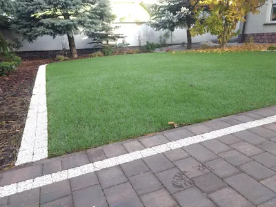 TopGarden Piotr Balcerzak